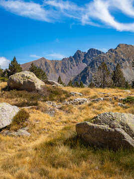 View of the rugged mountain landscape near Llac de Pessons, featuring large granite boulders, golden alpine grasses, and pine trees under a clear blue sky in Grau Roig, Encamp, Andorra.
