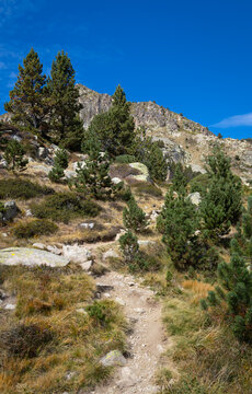 View of the hiking trail leading towards the rocky slopes and pine trees near Llac de Pessons in Grau Roig, Encamp, Andorra.