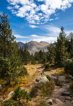 View of Llac de Pessons surrounded by pine trees, rocky hiking trails, and mountain peaks under a bright blue sky in Grau Roig, Encamp, Andorra.