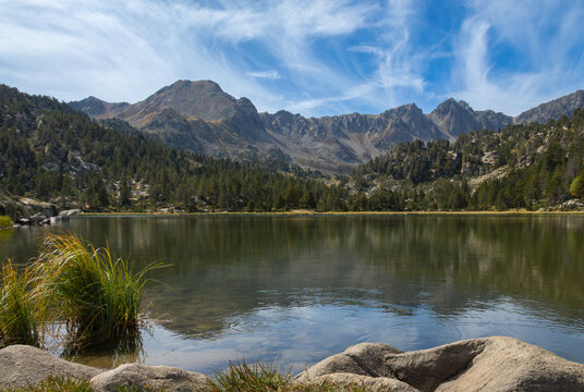 View of Llac de Pessons surrounded by pine forests and rugged mountain peaks under a clear blue sky in Grau Roig, Encamp, Andorra.