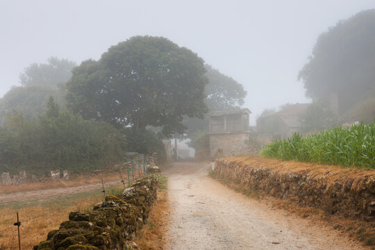 Misty Rural Road with Traditional Granary, Camino Primitivo, Spain