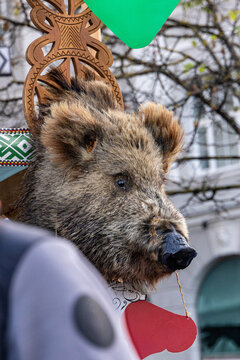 View of a decorative boar head prop adorned with a red heart tag and intricate wooden carving, displayed during a street festival in Vilnius, Vilnius County, Lithuania.