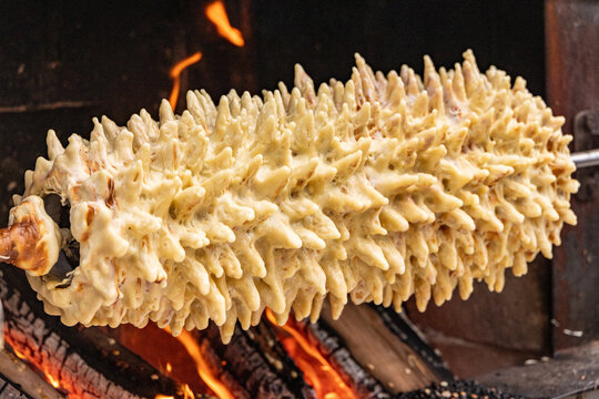 View of a traditional Lithuanian tree cake, known as sakotis, being baked on a rotating spit over an open wood fire in Vilnius, Vilnius County, Lithuania.