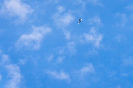 View of a fighter jet flying through a clear blue sky with light clouds over Mosnov, Moravian-Silesian Reg, Czechia.