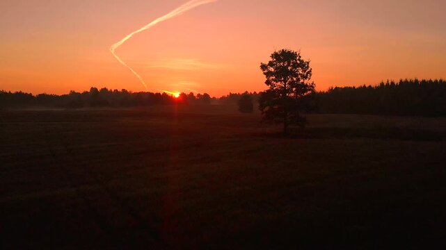 sunrise over the field