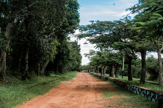 View of a dirt road lined with lush trees and a stone border within Jos Wildlife Park in Jos, Plateau, Nigeria.