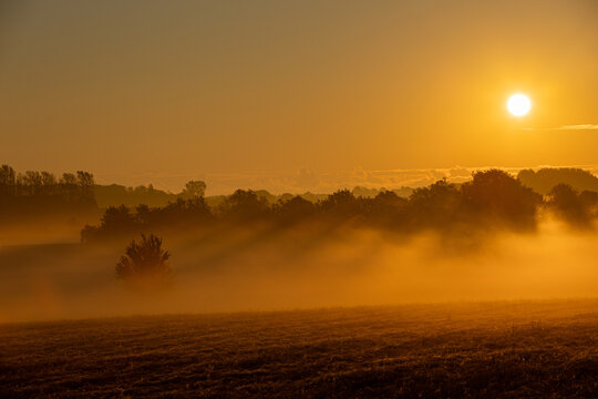 View of a misty field at sunrise with silhouetted trees and golden light in Herlufmagle, Sjaelland, Denmark.