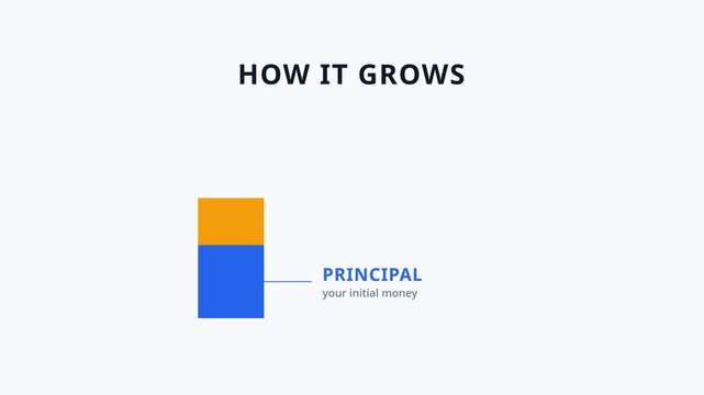 Minimalist Animated Explainer Compound Interest Growing Wealth with Graphs and Text