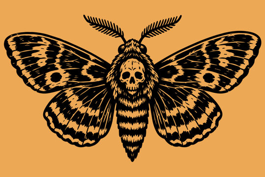 Moth skull pen and ink illustration for Halloween, Death's-head hawkmoth insect in vector for tattoo inspo