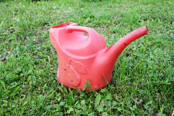 Pink plastic watering can resting on green grass lawn. © Torderik
