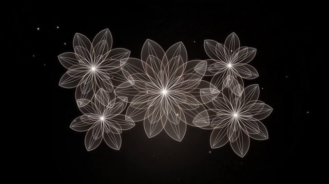Glass orchids bloom and retract within a dark abstract chamber showcasing procedural growth floral blooming transparent delicate petals botanical chamber darkness growth animation