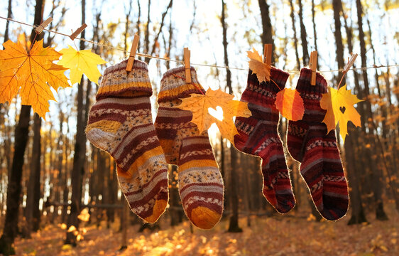 Beautiful autumn nature background. fallen leaves and colorful knitted socks hanging on rope in forest, natural sunny backdrop. symbol of fall season