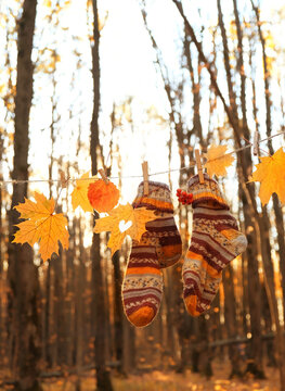 Beautiful autumn nature background. fallen leaves and colorful knitted socks hanging on rope in forest, natural abstract backdrop. symbol of fall season. copy space
