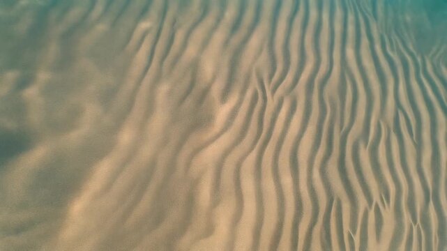 Underwater Sand Ripples with Shimmering Light
