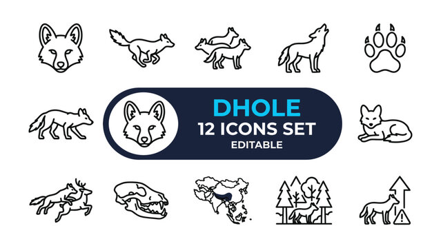 Dhole Icons Set: A collection of editable line icons illustrating the dhole, also known as the Asiatic wild dog, showcasing its various activities and anatomy.