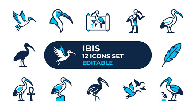 Ibis Icon Set: A collection of stylized ibis bird icons in various poses and contexts, including symbolic representations and flight, presented in blue and white hues.