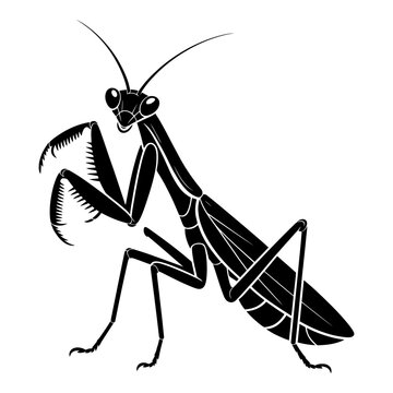 Praying mantis depiction in a stark black silhouette