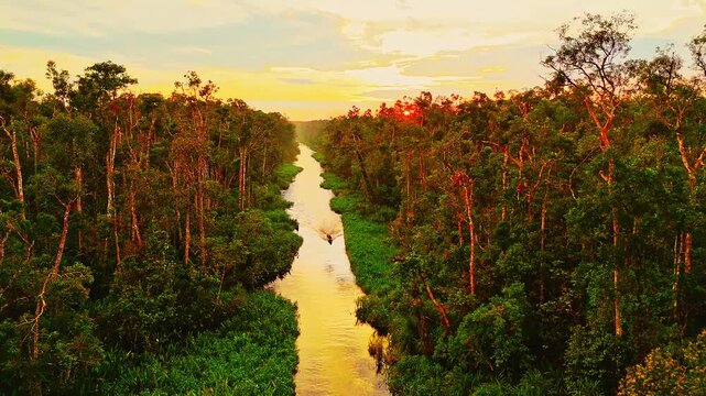 Aerial view of a boat navigating the river through the dense rainforest of Tanjung Puting National Park at sunset in Kumai, Central Kalimantan, Indonesia.