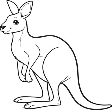 kangaroo vector illustration