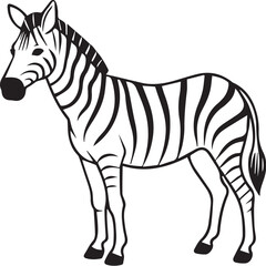 zebra vector illustration © Notion
