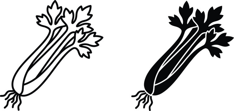 Celery stalks illustration set vintage engraving style black and white