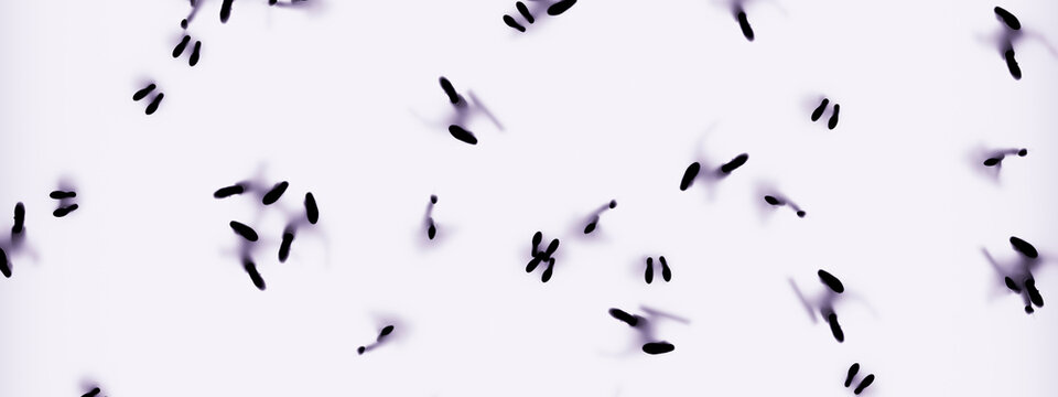 3D aerial crowd background with scattered human figures and violet motion shadows on white