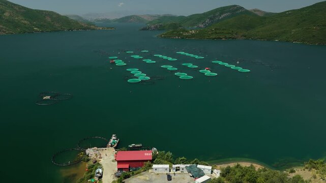 Rising Aerial Reveal of Floating Fish Cages in Albania
