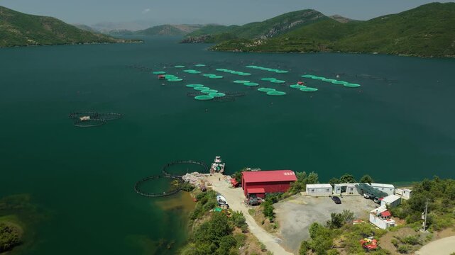 Floating Fish Cages on a Mountain Lake in Albania