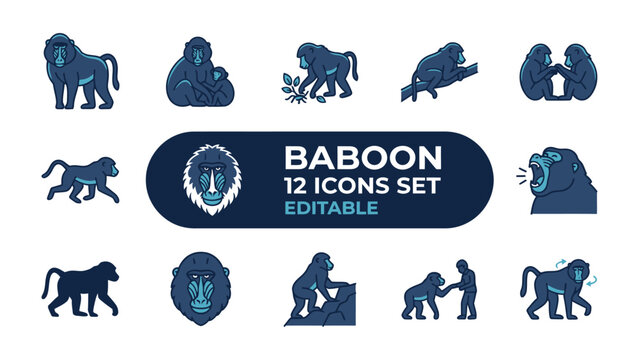 Baboon Icon Set: A collection of twelve stylized flat icons depicting various baboon behaviors and activities, suitable for educational or design purposes.