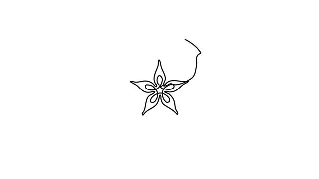 Continuous One Line Drawing Animation of Apple Half Cross Section with Star Seeds Pattern
