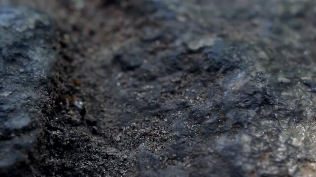 Man Picking Up Argentine Peso Coin from the Ground - Close Up