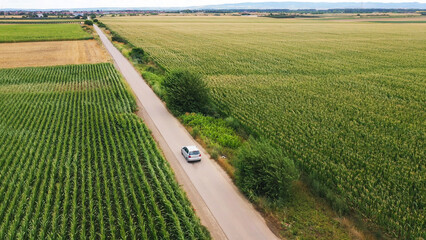 Drone perspective of a vehicle traveling on a countryside road bordered by healthy maize crops. Agricultural landscape, rural infrastructure and food production theme. © Bits and Splits