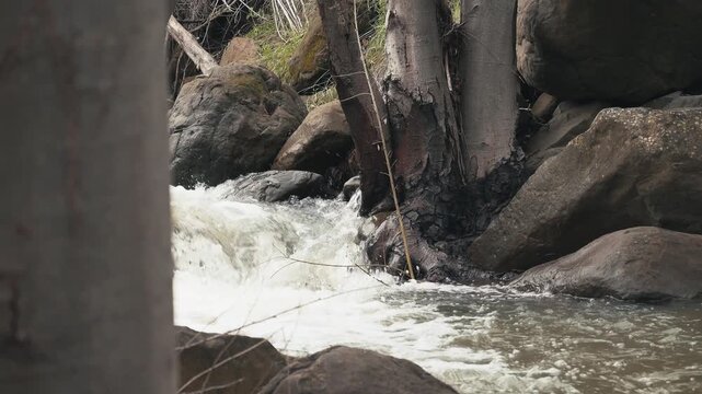 Fast water rushing through rocks in a forest creek