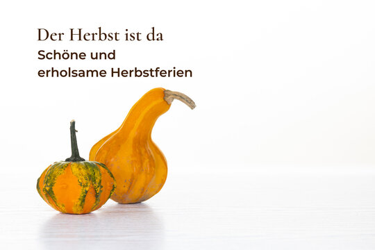 Ank&uuml;ndigung f&uuml;r Betriebsferien im Herbst mit Zierk&uuml;rbissen und Text vor hellem Hintergrund (mit Freiraum f&uuml;r Text oder Logo)