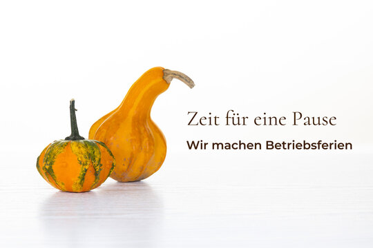 Ank&uuml;ndigung f&uuml;r Betriebsferien im Herbst mit Zierk&uuml;rbissen und Text vor hellem Hintergrund (mit Freiraum f&uuml;r Text oder Logo)