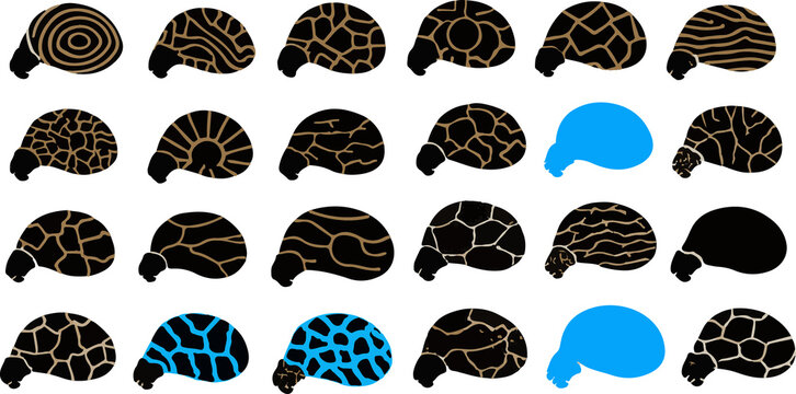 set of easter eggs vector