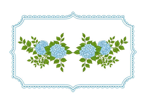 Two elegant blue hydrangea flowers with green leaves