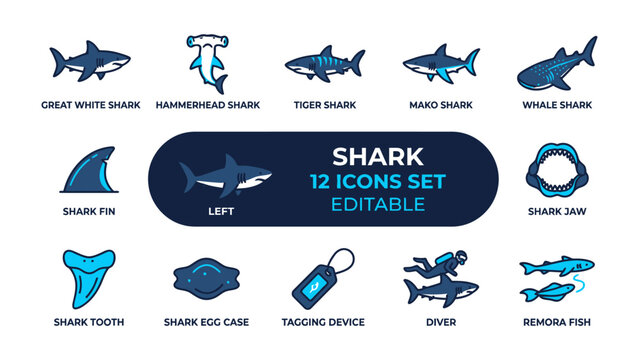 Shark Icons Set: A comprehensive collection of 12 editable vector icons representing various shark species, shark fins, teeth, jaws, divers, and remora fish.
