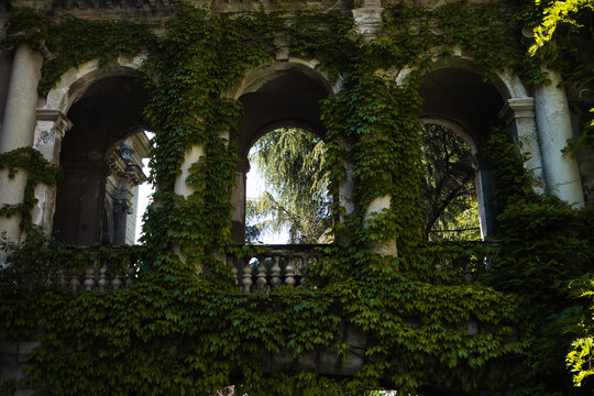 Mysterious ivy-covered arcade with stone columns, dark overgrown facade, gothic atmosphere