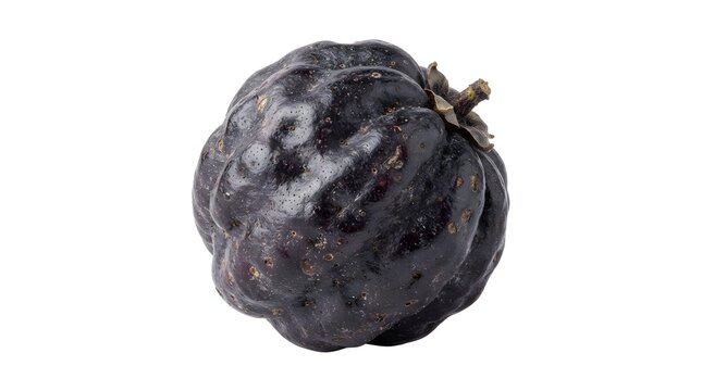 Single Ripe Phalsa Fruit Isolated on White Background, Grewia Asiatica Berry, Exotic Tropical Fruit for Healthy Diet and Culinary Ingredients