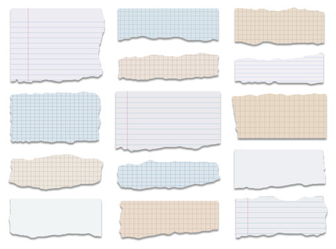 Set of various torn pieces of notebook paper with lined, grid, and blank textures