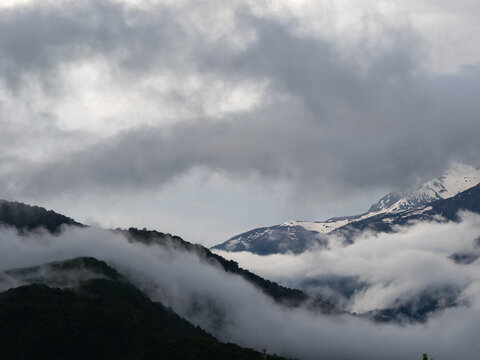 Layered forested ridges fading into fog with snowy peak behind, depth and gradient