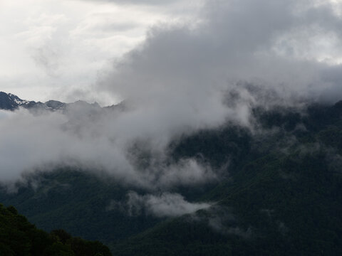 Clouds rising from forested mountain valley, evaporation and water cycle in nature