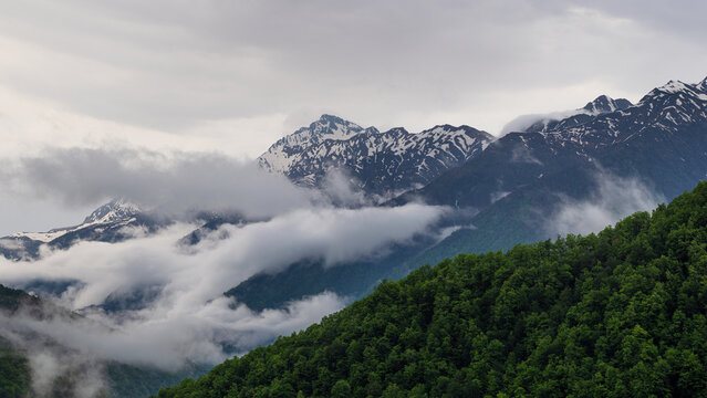 Lush green forest slope and snowy mountain range with drifting clouds, spring highlands
