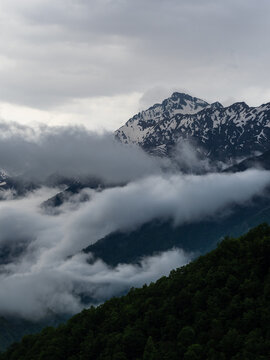 Snow-capped Caucasus peak above low clouds, forested slopes in the valley, vertical mountain view