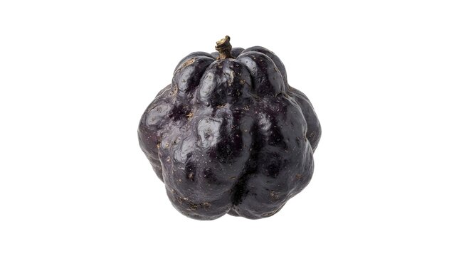 Single ripe Illawarra plum fruit isolated on a white background, Podocarpus elatus native Australian berry with deep purple skin and texture