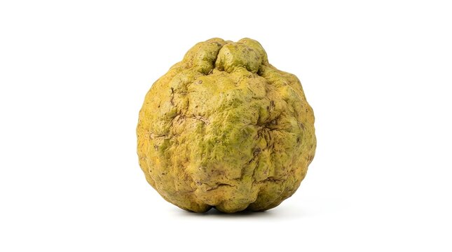 Single Ripe Bael Fruit Isolated on White Background, Aegle Marmelos Wood Apple for Ayurvedic Medicine and Tropical Healthy Food Photography