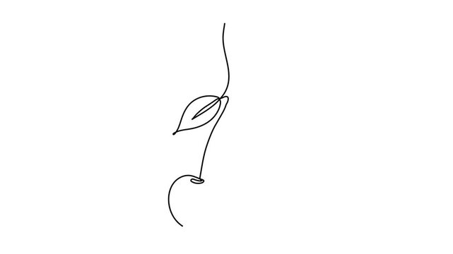 Continuous One Line Drawing Animation of Hanging Cherries with Leaves Minimalist Berry Art