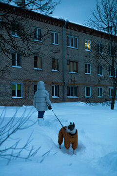 Walking a Dog in the Snow Near Authentic Condominium at Evening Dusk