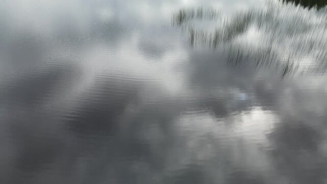 Drone flying very low and looking down on a calm lake that is reflecting grey clouds with reeds along the shore
